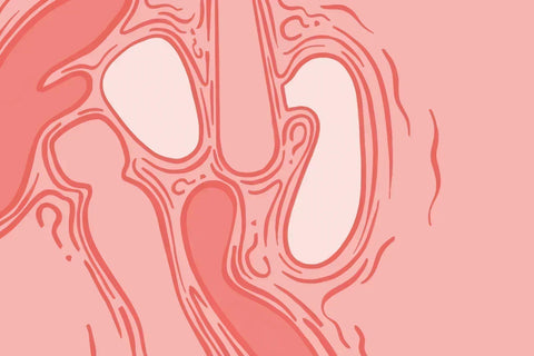 How clit toys actually work: air, suction & vibration
