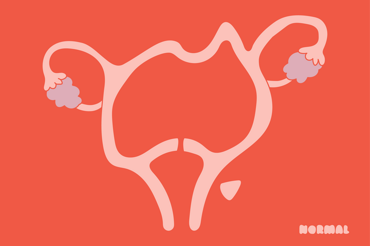 What are my actual reproductive rights now?