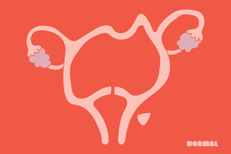 What are my actual reproductive rights now?