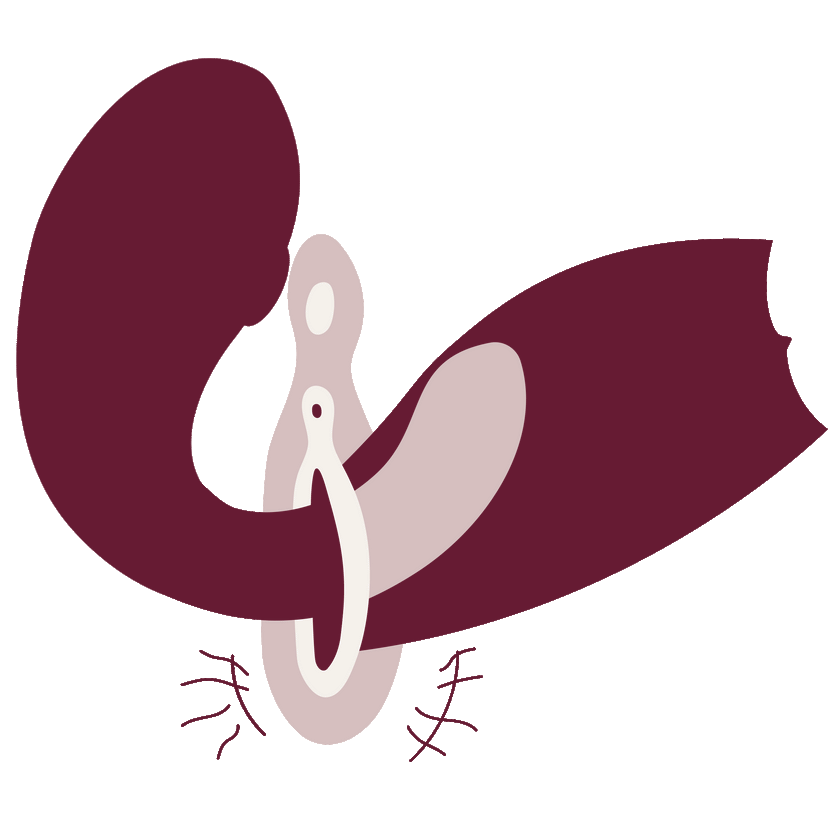 Plum media 15