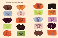 The Modern Guide to Sex